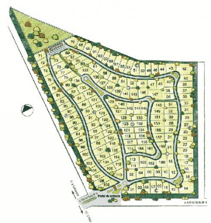 LOTES INTERNOS (Criterios y ejercicios varios)